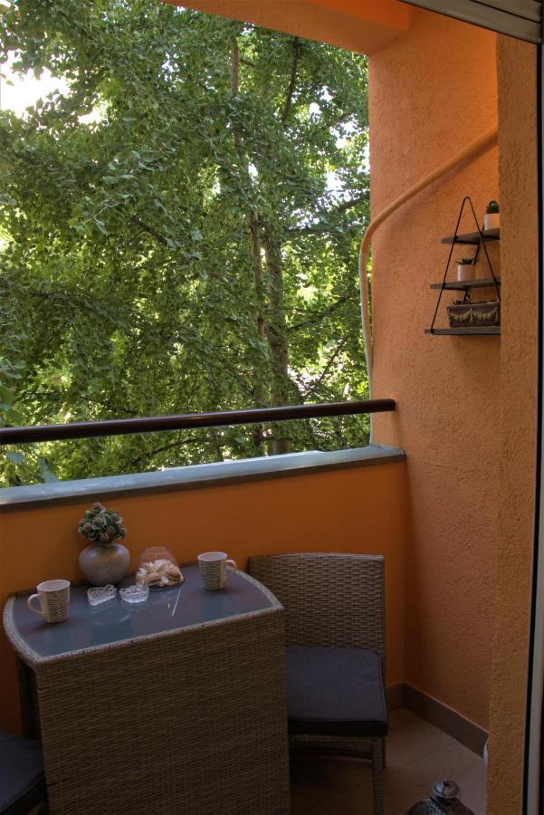 Novi Sad Apartman Tenigo Екстериор снимка